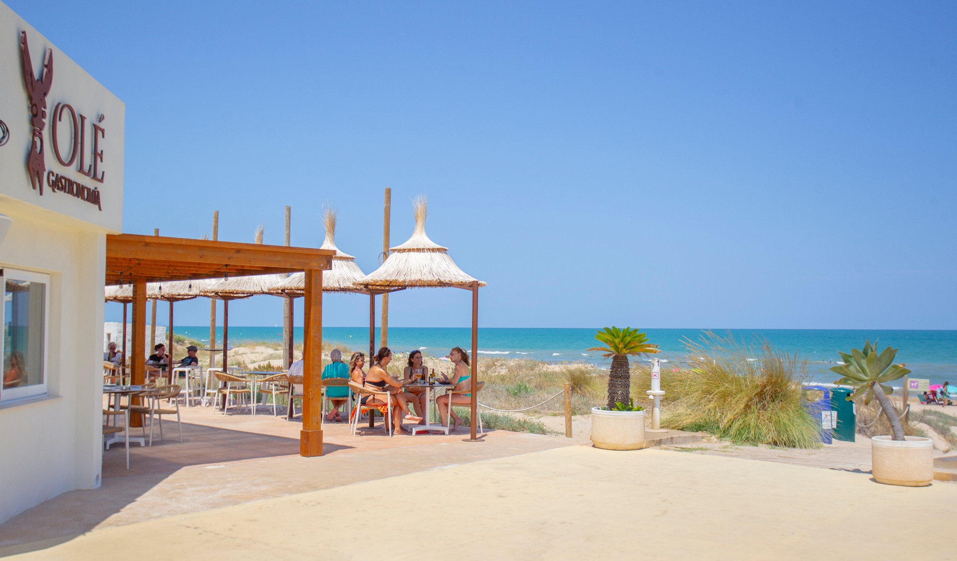 Zonas verdes del camping