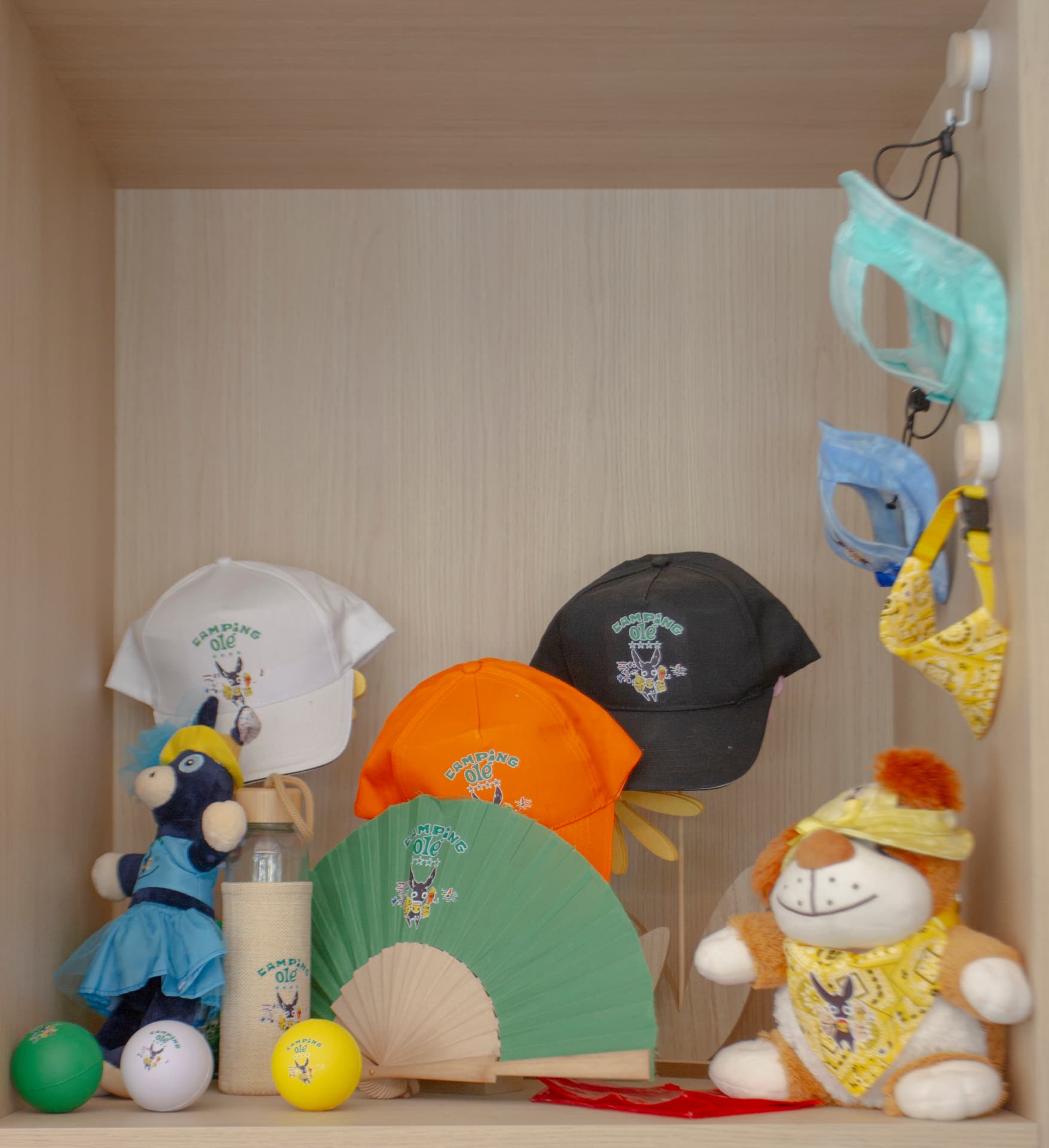 Actividades Camping Olé 6