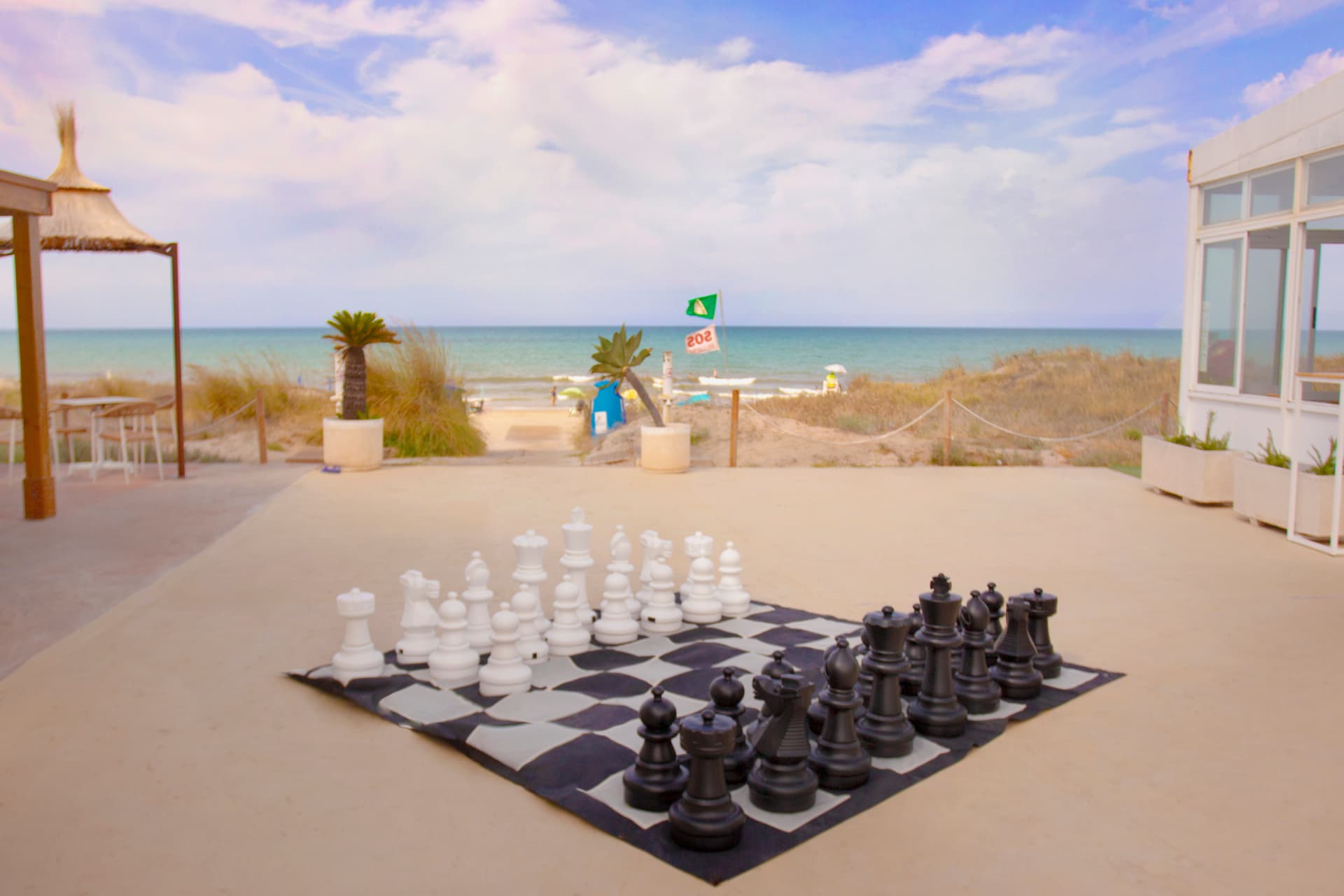 Actividades Camping Olé 4
