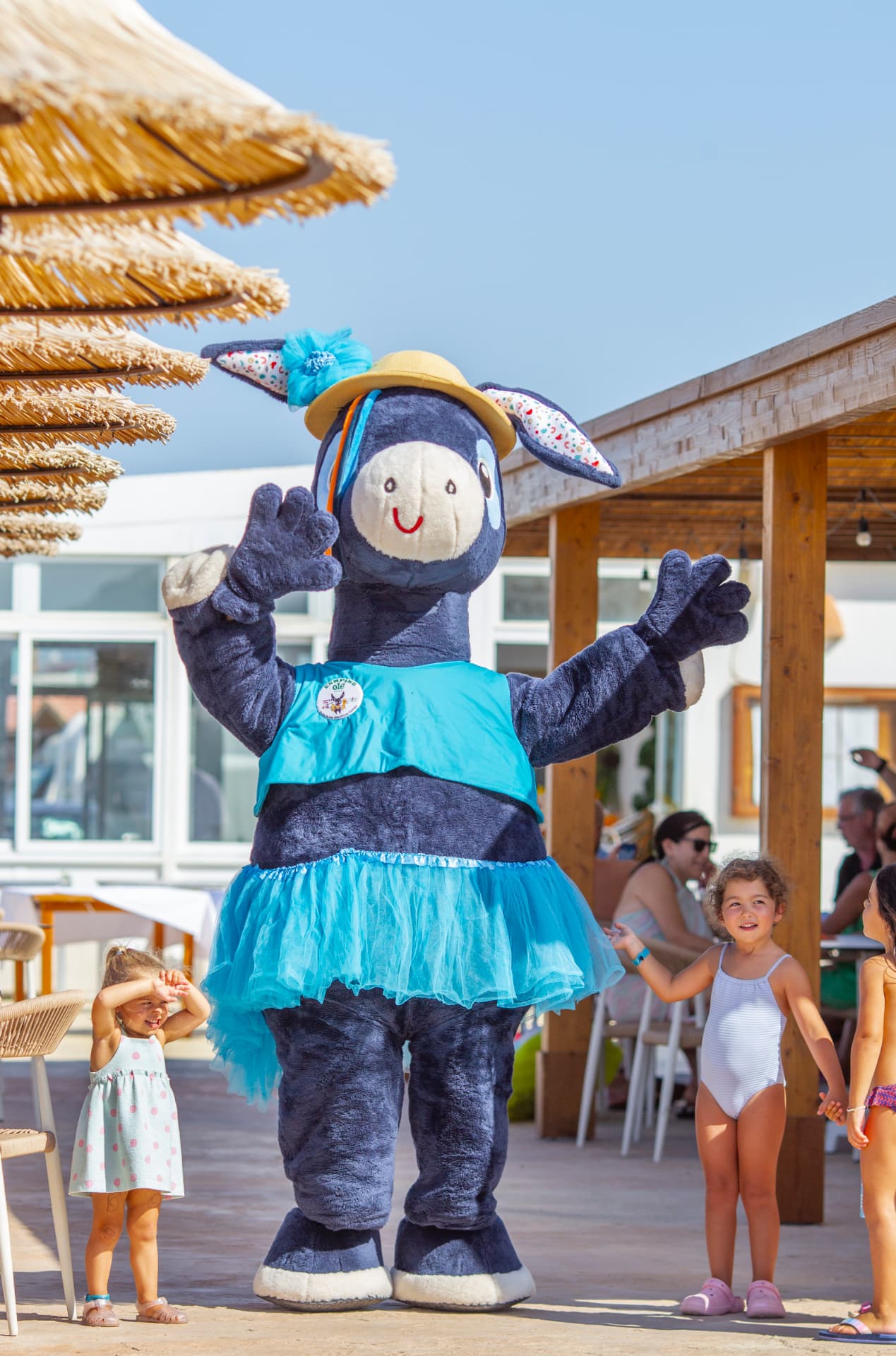 Actividades Camping Olé 5