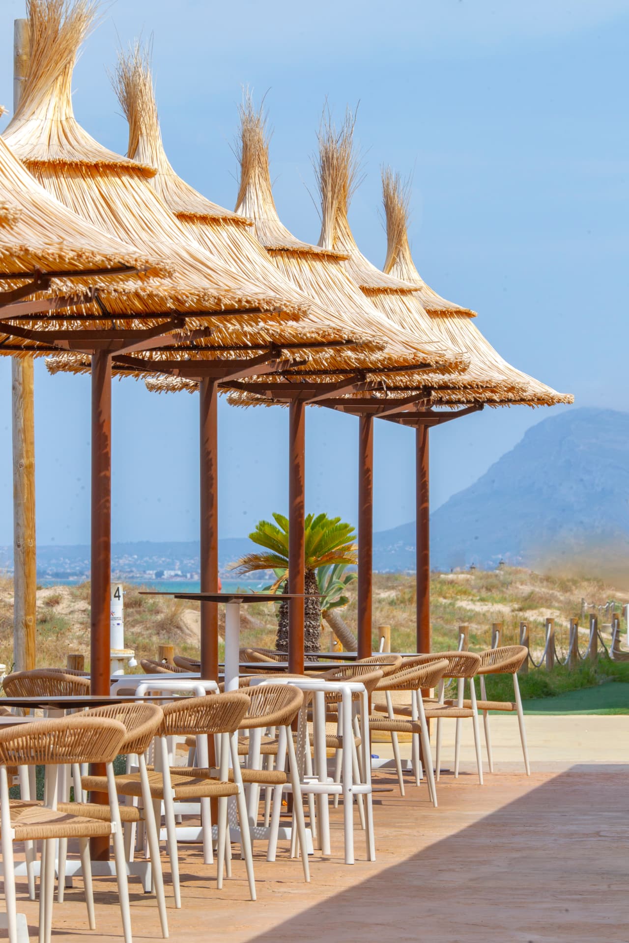 Zonas verdes del camping
